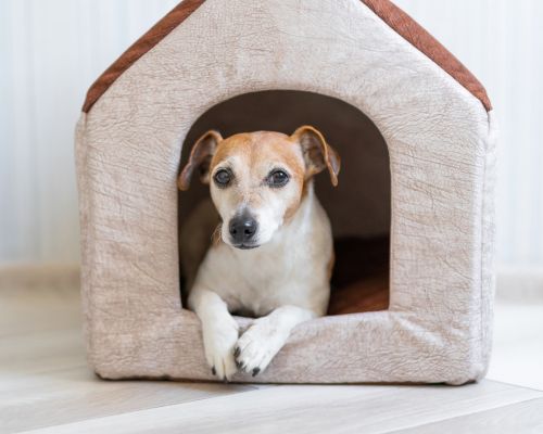 house security checks saskatoon